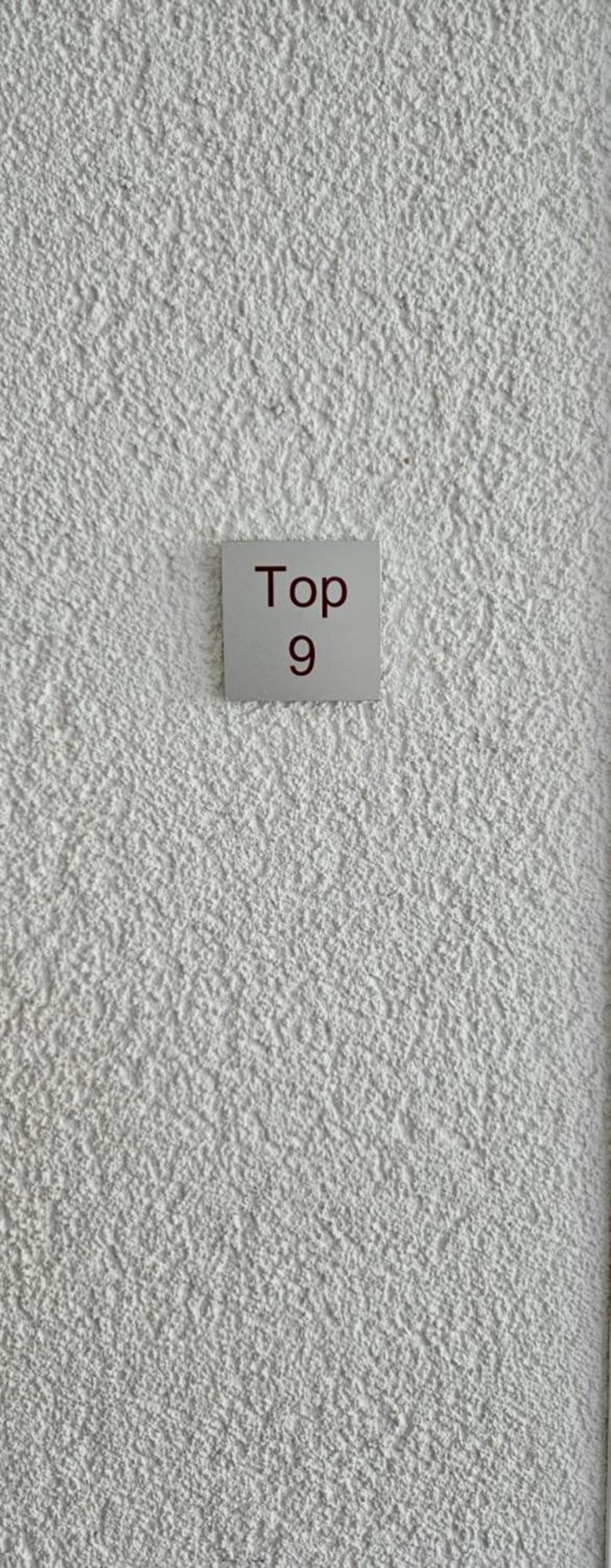 Damuelser Horn Pokoj fotografie